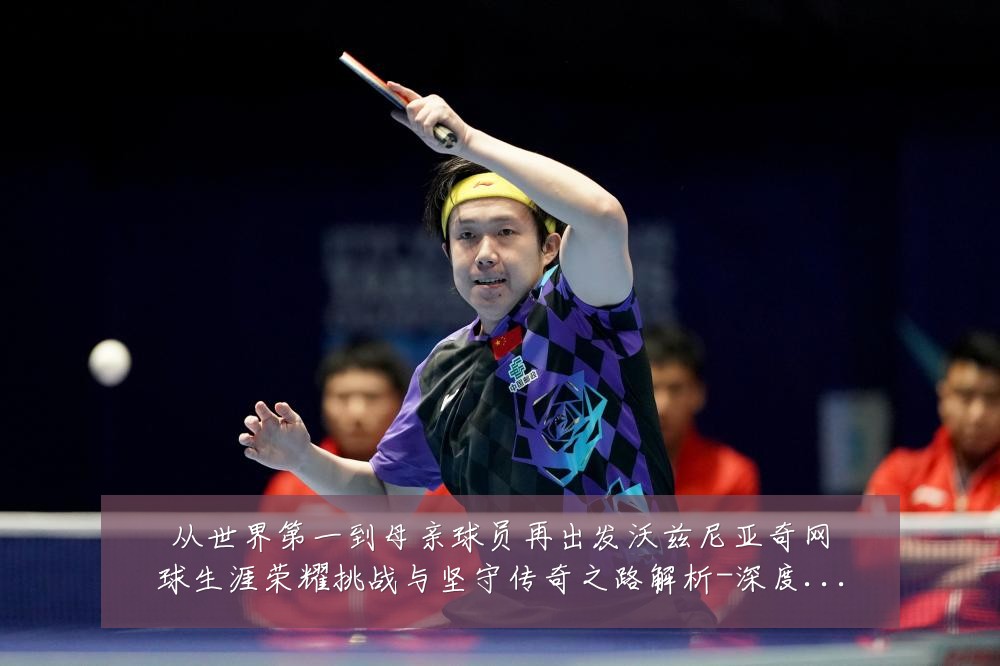 从世界第一到母亲球员再出发沃兹尼亚奇网球生涯荣耀挑战与坚守传奇之路解析-深度解析